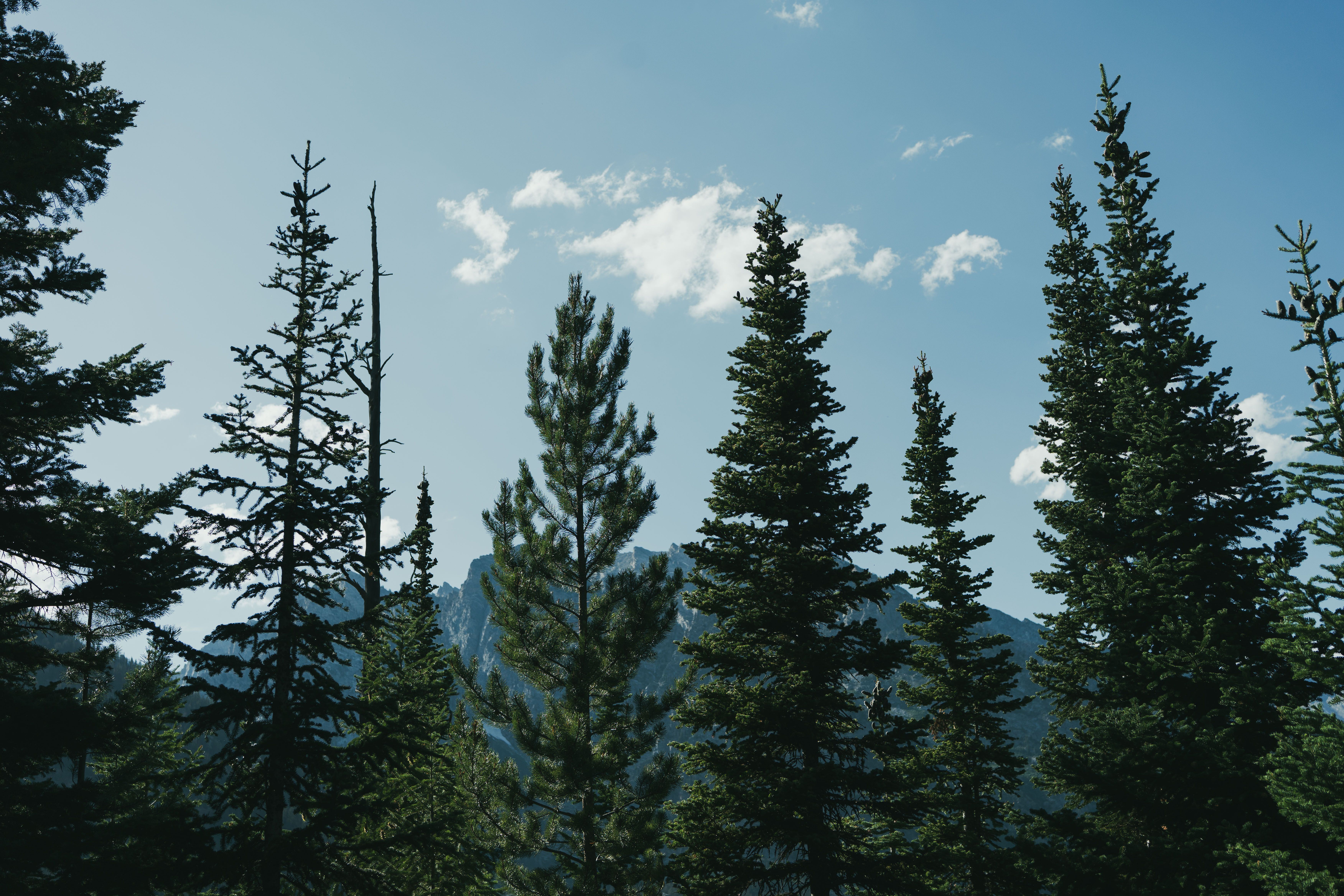 Yellowstone Lake from a distance, with a storm approaching.